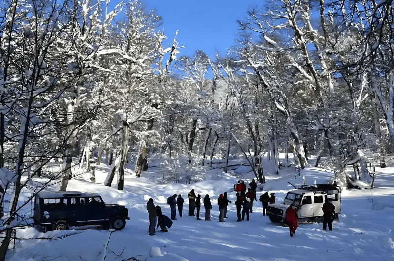 Patinação no Gelo em Bariloche: Uma Opção Divertida no Refúgio Neumeyer e Além