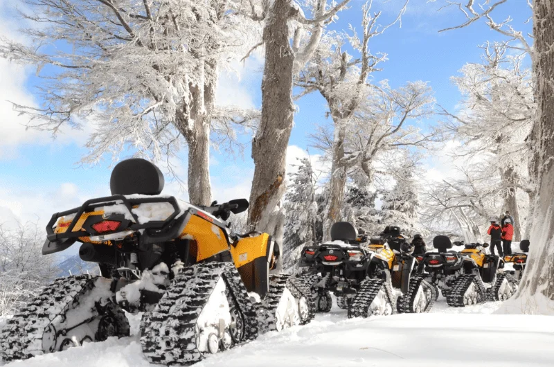 Defender 4×4 em Bariloche: Passeio Off-Road pela Floresta Nevada