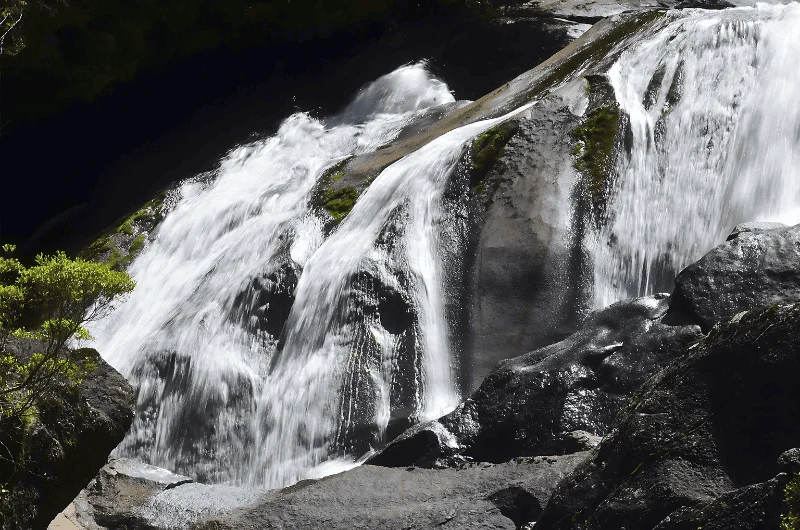 Cascada Los Cántaros: Uma Queda D’Água Escondida na Selva Valdiviana de Bariloche