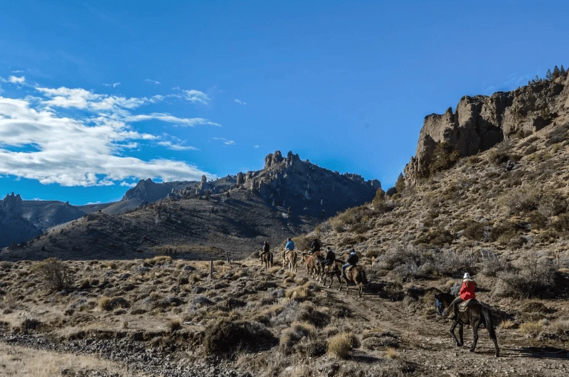 Cavalgada La Fragua: Uma Aventura a Cavalo pela Estepa Patagônica de Bariloche – Conexão Autêntica com a Natureza