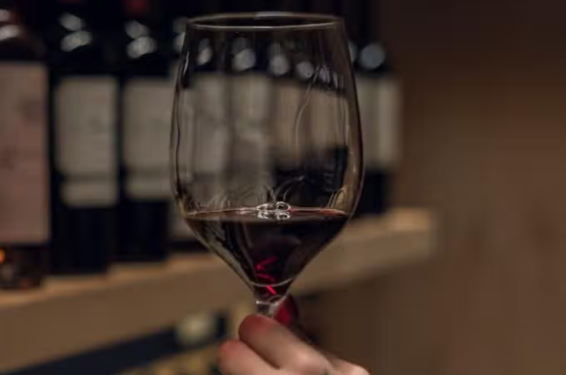 Vinhos Patagônicos: Degustação e Harmonização em Bariloche