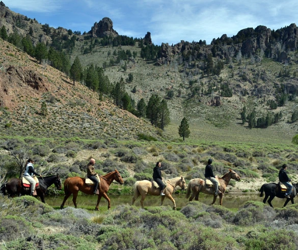 Explorando a Estepa Patagônica: Paisagens Áridas e Formações Rochosas em Bariloche