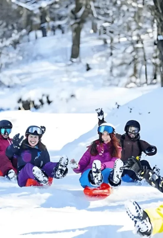 Pistas de Tobogã em Bariloche: Diversão para Todas as Idades